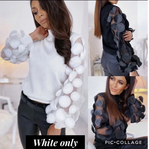 White Top w/Sheer Sleeves - Picture 3 of 3